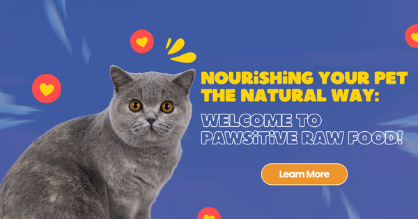 Nourishing Your Pet the Natural Way: Welcome to TruePaws Raw Foods!