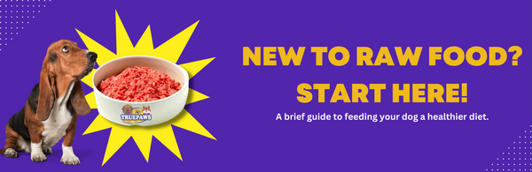 New to Raw Dog Food? Your Simple Starter Guide to Healthier Meals