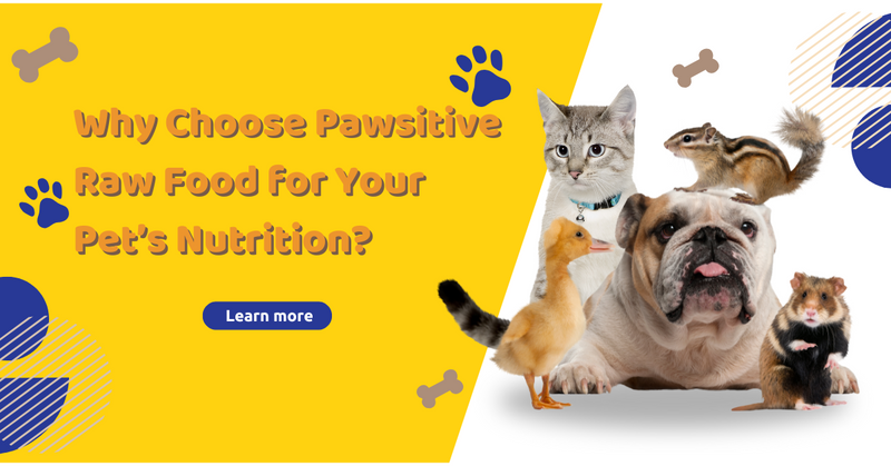 Why Choose TruePaws Raw Foods for Your Pet’s Nutrition?