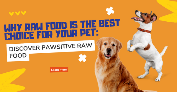 Why Raw Food is the Best Choice for Your Pet: Discover TruePaws Raw Foods
