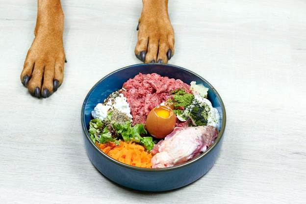 Top Tips for Raw Dog Food Delivery UK: A Complete Owner’s Guide
