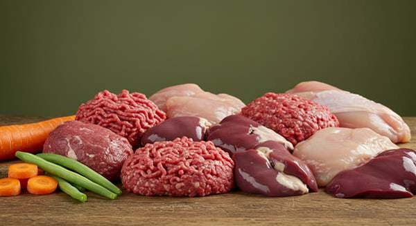 Is Raw Dog Food Better Than Kibble UK? Here’s What TruePaws Pet Parents Think
