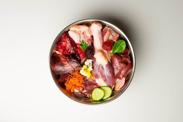 Raw Dog Food Feeding Tips UK: A Beginner’s Guide to Healthier Dogs