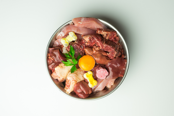 Are You Using the Best Raw Dog Food Ideas Yet?