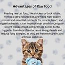 Raw Cat Food Frozen Chicken Mince. BARF Raw Diet- 4 kg | 12 kg Box Raw Pet Food
