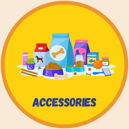 accessorie collection